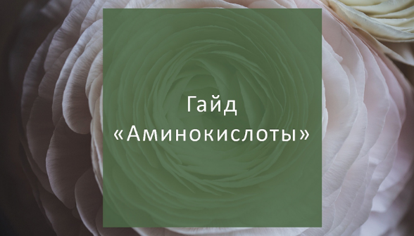 [Елена Суханова] Гайд Аминокислоты (2023)_0.png